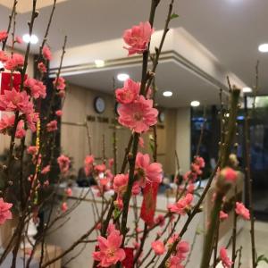 Fotografie z fotogalerie ubytování LiLy Apartment v Nha Trangu