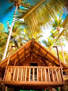 Fotografie z fotogalerie ubytování Seasta Beach Resort v destinaci Baler