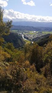 a view of a valley from a hill with trees at Little Red Riding Hood in Reefton +14 photos