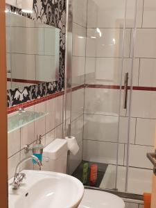 a bathroom with a shower and a sink and a toilet at Waldhotel und Restaurant Lemberg in Hagen