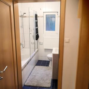 a bathroom with a shower and a toilet and a sink at Ferienhaus am Bach mit großem Garten in Deuerling +27 photos