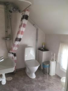 
a bathroom with a toilet and a bath tub at Brunnsta Gård in Bålsta
