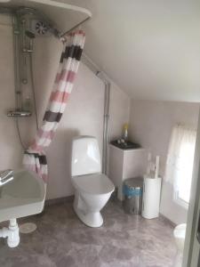
a bathroom with a toilet, sink, and shower at Brunnsta Gård in Bålsta
