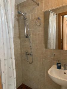a bathroom with a shower and a sink at Pensiunea Haiduc Sacele Brasov in Săcele +27 photos