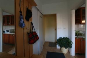 Kuchnia lub aneks kuchenny w obiekcie Teubel apartman 5