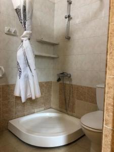 Koupelna v ubytování Gutsa Artists Mini-Hotel
