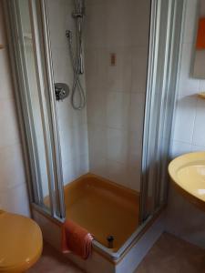 a shower with a glass door next to a sink at Gästehaus Steininger in Zwiesel