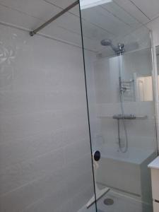 La salle de bains est pourvue d'une douche avec une porte en verre. dans l'établissement Le Petit bois, à Niort