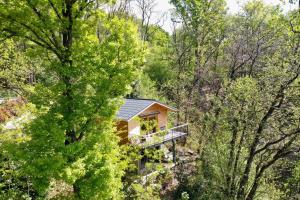 a house in the middle of a forest at Rifugio Nel Bosco in Astano