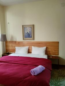 Letto o letti in una camera di Hotel Kurtabeg