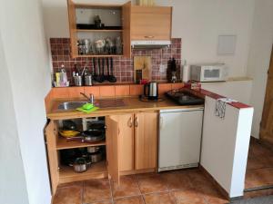 Kuchyň nebo kuchyňský kout v ubytování Apartmán Pod hrází Bedřichov
