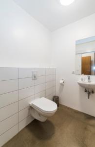 a bathroom with a toilet and a sink at Álftröð Guesthouse in Brautarholt
