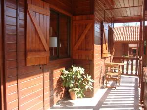 a porch of a wooden house with a plant and chairs at Parque Biologico de Vinhais in Vinhais