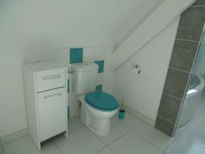 La salle de bains est pourvue de toilettes avec un couvercle bleu. dans l'établissement Véro, Yves, à Nay