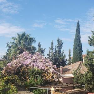 un jardín con flores y árboles morados y una casa en Carpe Diem near the Athens airport, en Markopoulo