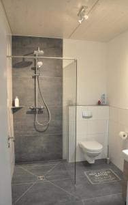 a bathroom with a shower and a toilet at Ferienwohnung Landskroner Blick in Bad Neuenahr-Ahrweiler