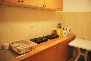 Kuchyň nebo kuchyňský kout v ubytování Omega Apartments