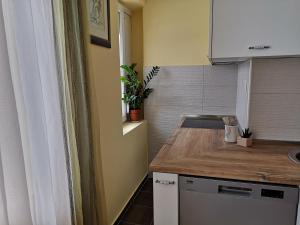 Кухня или мини-кухня в Apartman Glomazic
