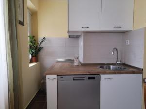 a small kitchen with a sink and a dishwasher at Apartman Glomazic in Žabljak
