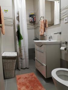 a bathroom with a sink and a toilet at Apartman Glomazic in Žabljak +32 photos