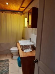 a bathroom with a sink and a toilet at Casa Puerto Varas a pasos de la Playa in Puerto Varas