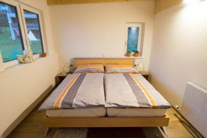 een slaapkamer met een bed in een kamer met 2 ramen bij Appartement Christiane in Bludenz