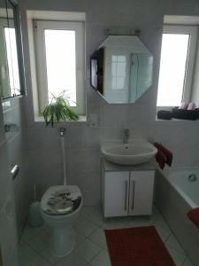 a bathroom with a toilet and a sink at Ferienhaus CasaNoWa in Kaufbeuren