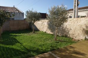 Κήπος έξω από το Paranthese à Marennes +2 φωτογραφίες