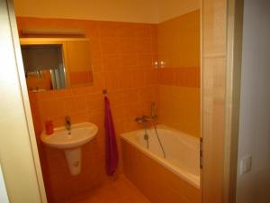 Koupelna v ubytování Apartmán Říčky v Orlických Horách