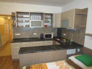 Kuchyň nebo kuchyňský kout v ubytování Apartmán Říčky v Orlických Horách