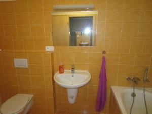 Koupelna v ubytování Apartmán Říčky v Orlických Horách