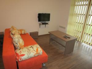 TV a/nebo společenská místnost v ubytování Apartmán Říčky v Orlických Horách