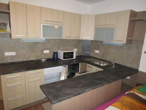 Kuchyň nebo kuchyňský kout v ubytování Apartmán Říčky v Orlických Horách
