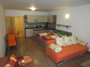 Kuchyň nebo kuchyňský kout v ubytování Apartmán Říčky v Orlických Horách
