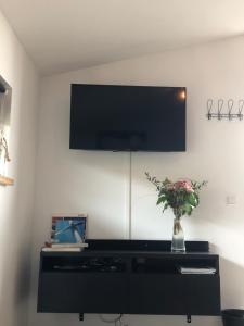 een woonkamer met een tv en een vaas met bloemen bij De Susel in Meppel