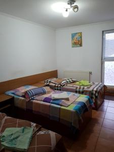 Кровать или кровати в номере Pensiunea Lucica