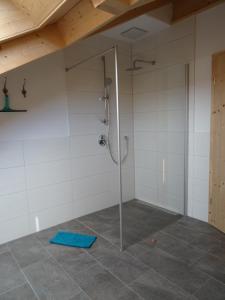 La salle de bains est pourvue d'une douche avec une porte en verre. dans l'établissement Ferienwohnung Seidlpark im Haus Ecker, à Murnau am Staffelsee