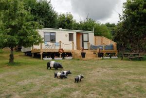 a couple of animals standing in a yard in front of a house at Violet Mays Retreat in Starcross