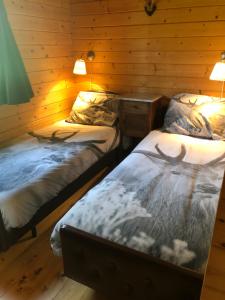 two beds in a log cabin with antlers on them at Sfeervolle Blokhut in Oostvoorne