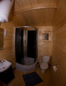 a wooden bathroom with a toilet and a sink at DOMKI LETNISKOWE W ŚWINOUJŚCIU in Świnoujście