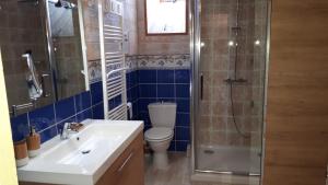 a bathroom with a toilet and a sink and a shower at Le BOCAGE in Sartilly +17 photos