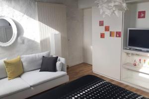 TV a/nebo společenská místnost v ubytování Joline private guest apartment downtown Nidau