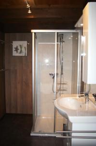 a bathroom with a shower and a sink at Ankerplatz Twielenfleth in Twielenfleth