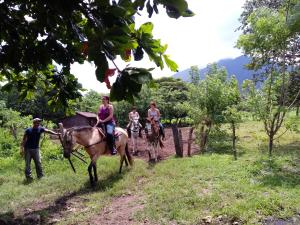 Photo de la galerie de l'établissement Finca Montania Sagrada, à Mérida