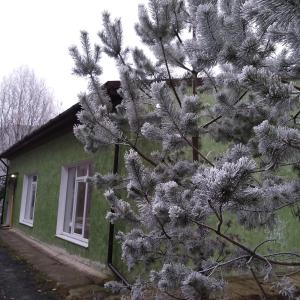 a tree in front of a house with a fire hydrant at Смарт-апартаменти " Lutskyj zamok" in Lutsk