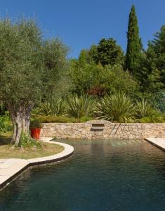 a swimming pool in a garden with a stone wall at Hôtel du Clos in Le Rouret