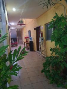 Fotografie z fotogalerie ubytování Hotel posada MARCAS v destinaci Cancún