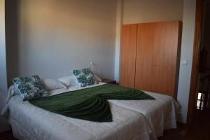 1 dormitorio con 1 cama grande y armario de madera en Apartamento Belmecher, en Estella