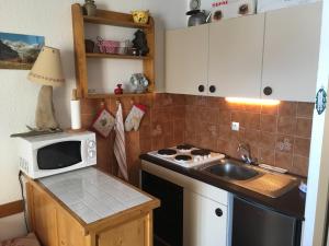 een kleine keuken met een spoelbak en een magnetron bij Orcieres joli studio in Orcières