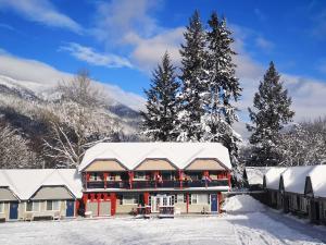 Alpine Inn & Suites talvel